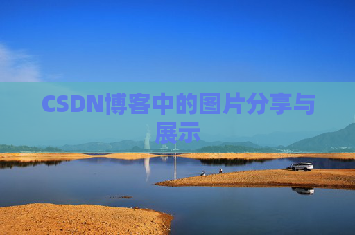 CSDN博客中的图片分享与展示